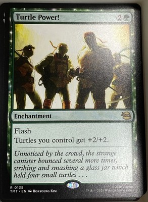 Turtle Power! 135 Teenage Mutant Ninja Turtles (TMT) MTG engl.