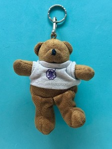 Vintage Greek Life Sorority Fraternity Plush Teddy Bear Keychain