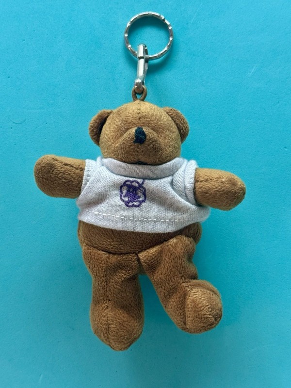 Vintage Greek Life Sorority Fraternity Plush Teddy Bear Keychain