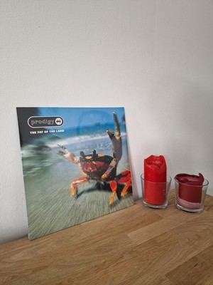 Prodigy - The Fat Of The Land Double Vinyl LP | New & Sealed