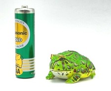 Furuta Kaiyodo Choco Horned Frog Animal Realistic Mini Figure Miniature