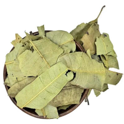 Dried Mango Leaves - Natural 100% Quality Herbal - Fresh Leaves WHOLESALE!!