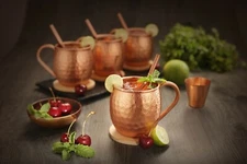 Set of 4 100% Copper Moscow Mule Mugs Shot Glass and Copper Straws and Coasters