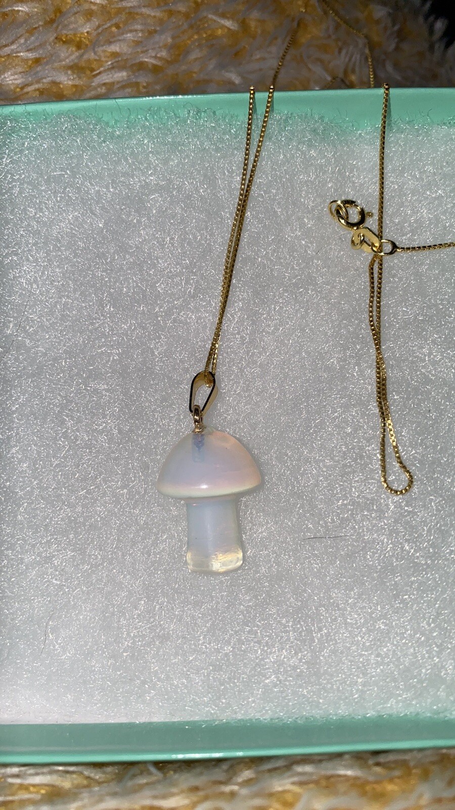 Picture 4 of 5