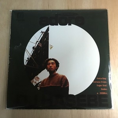 DJ HASEBE/Adore FLV2005 Used LP