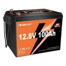 12V 100Ah Mini Max LiFePO4 Lithium Battery Group 24 Deep Cycle BMS For RVs Home