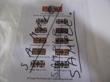 15MM  FLAT RUSSIA SET 1 LINE INFANTRY BASIC PATTERN  CRIMEAN WAR 1853-1855