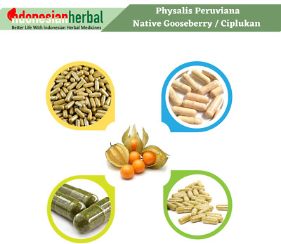 Capsule Of Pure Physalis Peruviana Native Gooseberry Organic Natural Herbal