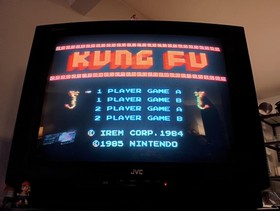 Golf and Kung Fu NES Cartridge Bundle