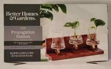 BHG 4pc Plant Propagation Station Clear Vases Wood Stand Better Homes  Gardens
