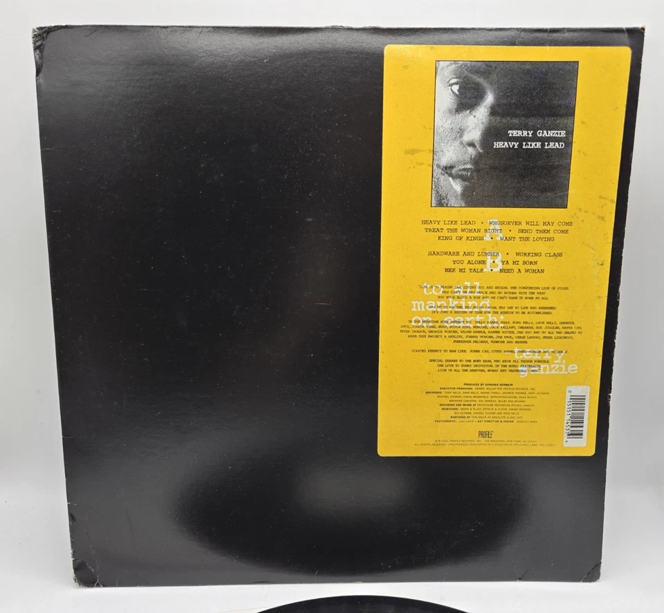 Terry Ganzie Heavy Like Lead Full Reggae Vinyl LP Record Album PRO-1453-DJ Foto 2 de 4