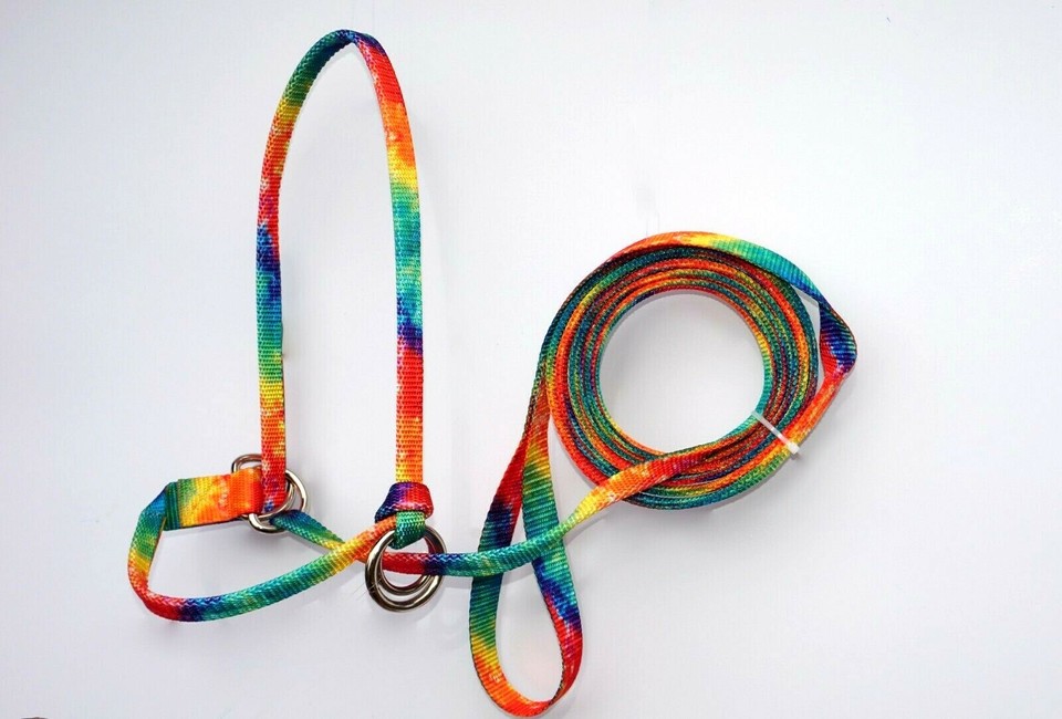 Halter-All Adjustable Donkey & Mule Halter - Medium Size Neon Orange No Buckles