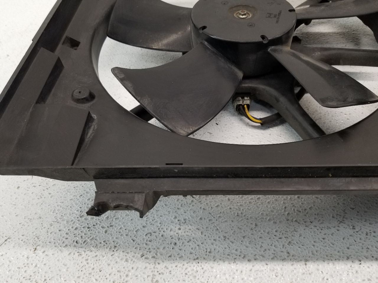 Picture 3 of 12