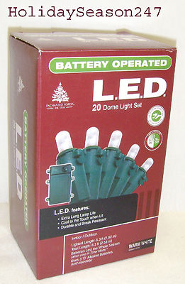 20 LED BATTERY OPERATED PORTABLE LIGHT Multi or White Christmas Holiday Window