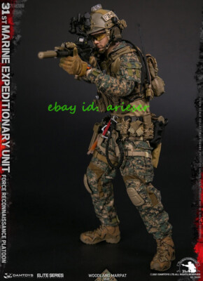Damtoys Elite Series 1/6 78089 Force Reconnaissance Platoon