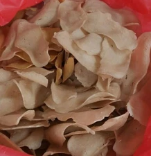 FRESH FISH CRACKERS (keropok ikan parang) 3 Pack (500g/pack) Free Chilli Sauce