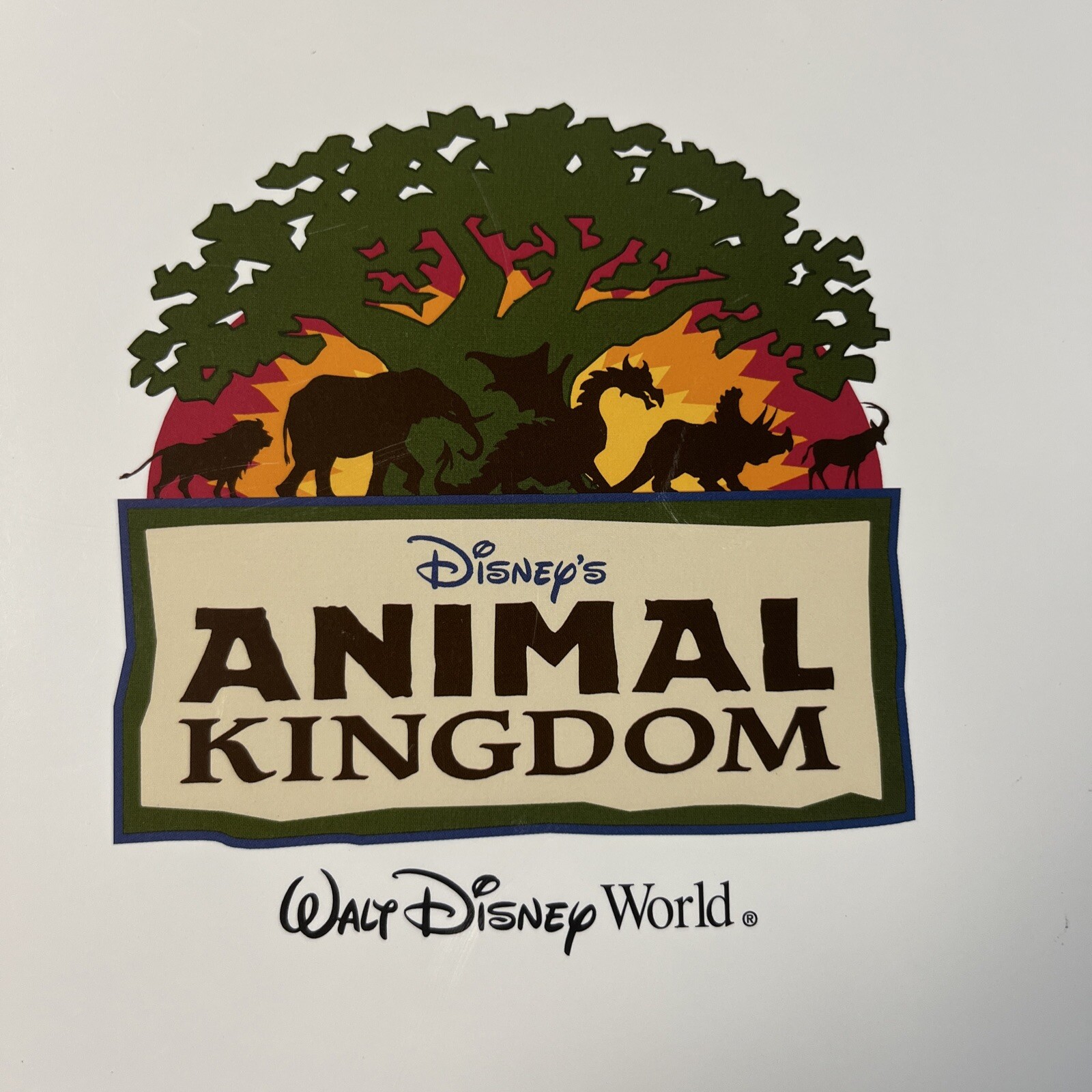 Disney Animal Kingdom Photo Frame Folder Holder 8x10 Tree Of Life eBay