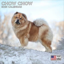 Chow Chow Calendar 2026 - Dog Breed Wall Calendar - Made in the USA!