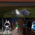 Foto 13 di 13