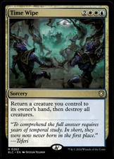 Time Wipe #262 MTG Bloomburrow NM X1