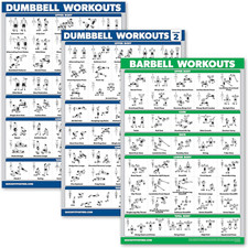 3 Pack: Dumbbell Workouts Posters Volume 1 2 Barbell Exercises - Set of 3 Wo