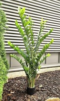 Artplants Deko Zamioculcas Yasdin, 150Cm