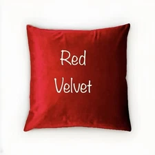 Secret Pocket Pillow 16x16, hidden zippered, Pocket is 16x16, Adults and Kids.