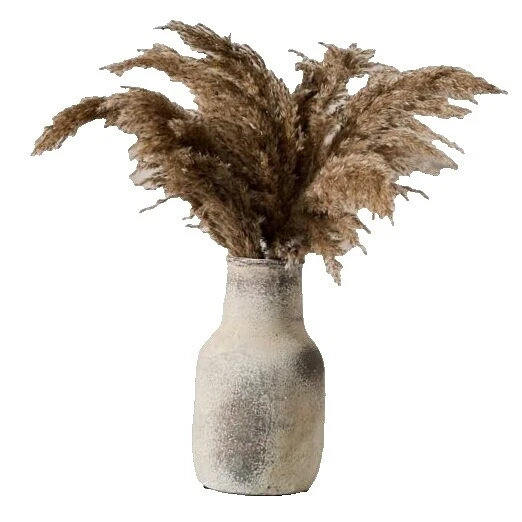 Jarrones de país de arcilla