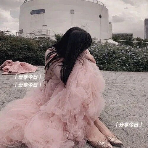 Women Fairy Tulle Skirt Elastic High Waist Mesh Skirts Long Pleated Tutu Skirt  - Bild 11 von 18