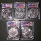 1 oz American Silver Eagle Coin (Mixed Year - Lot of 5)