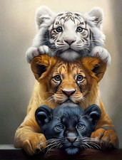 DIY Tiger Animal Diamond Painting Kits, 5D Diamond Art for Beginners Adults, rou