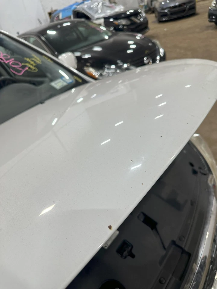 Used Hood fits: 2012 Kia Sedona Grade A - Image 2 of 4