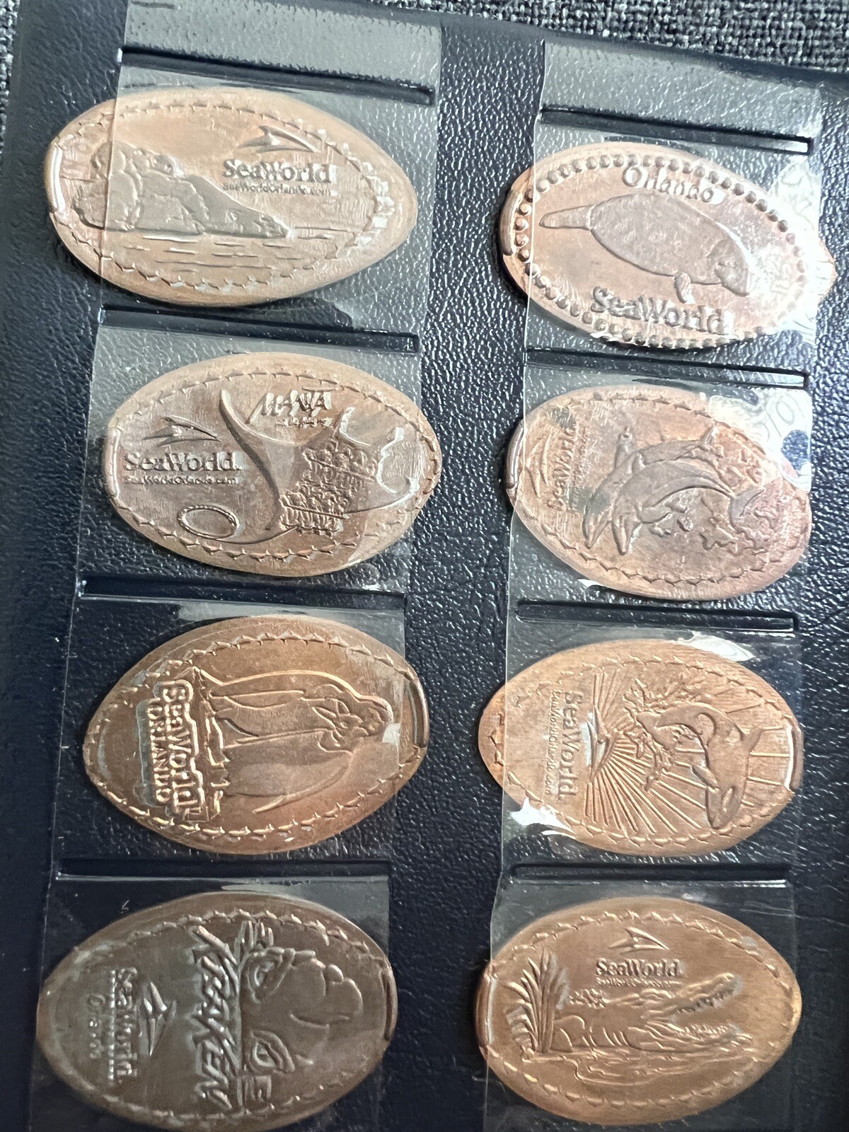 Picture 7 of 17