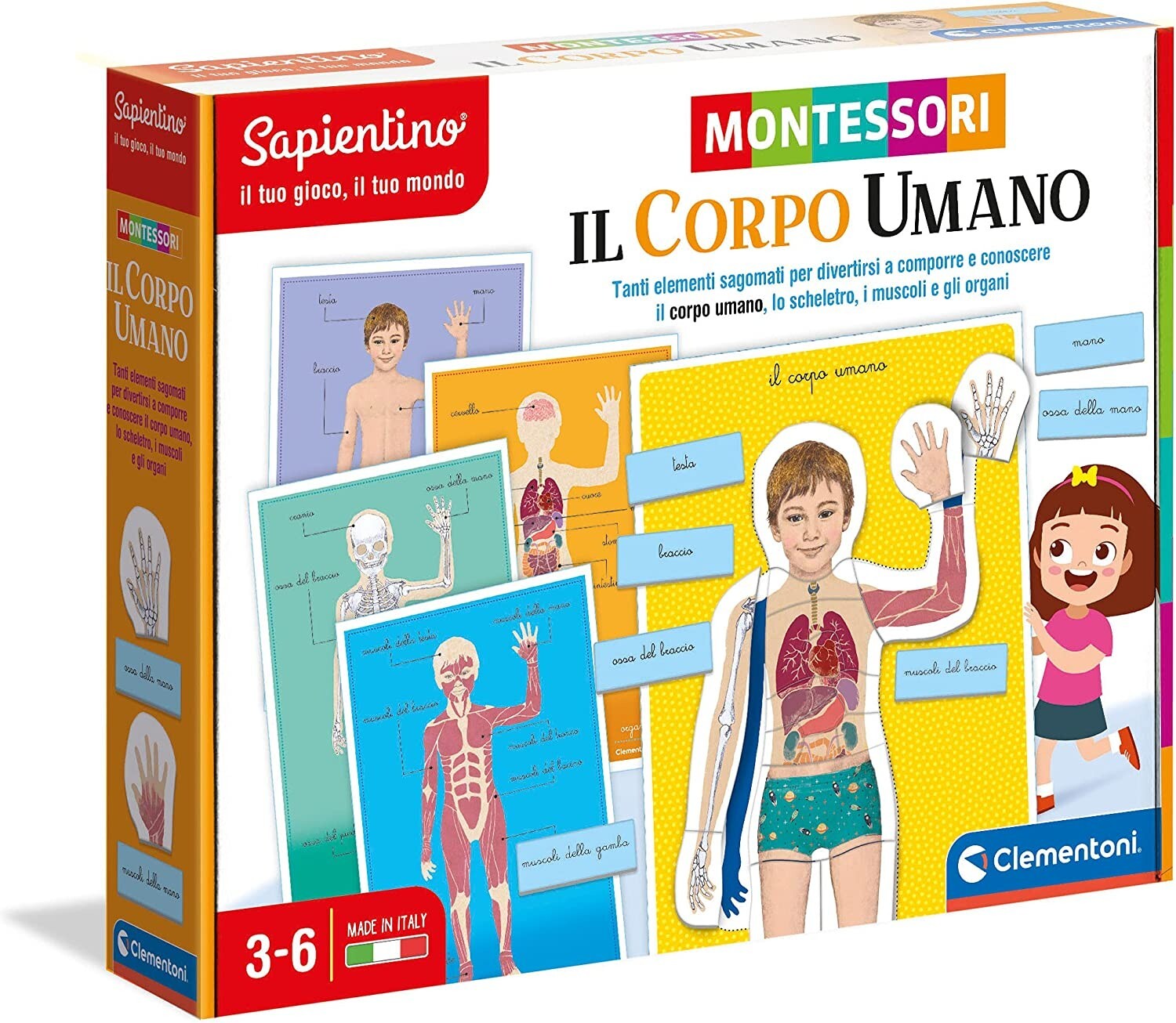 Sapientino Il Corpo Umano Gioco Educativo Montessori Per Bambini Clementoni