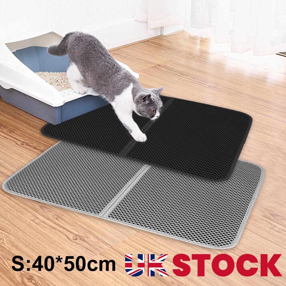 cat litter on carpet