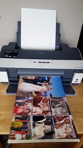 epson b1100
