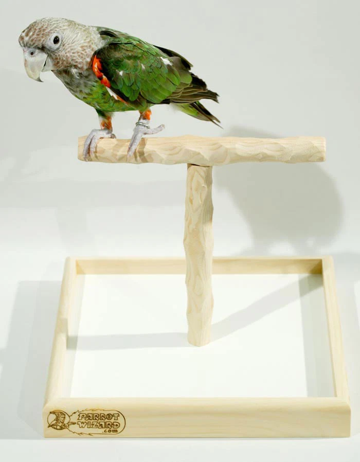 PARROT WIZARD Deluxe Tabletop NU Perch - tabletop perch stand for all small to medium parrots