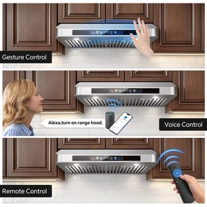 30 inch Sous la portée du Cabinet Hotte 900CFM Efficacité du moteur double avec contrôle intelligent