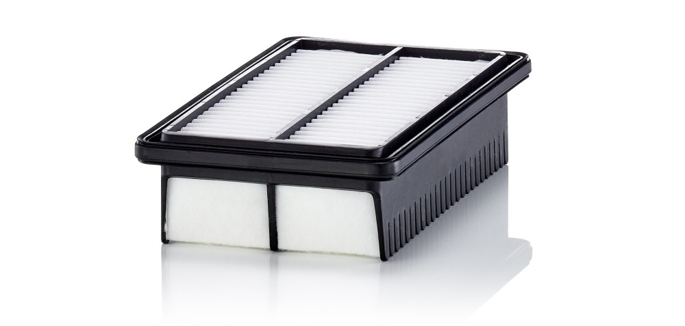 MANN-FILTER C 25 050 Air Filter for HYUNDAI