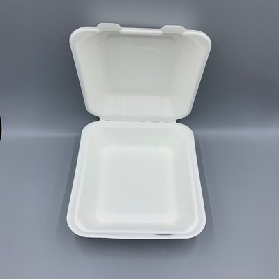 Clamshell Container, 8 inch - Disposable & Compostable, Eco-Friendly Food Box