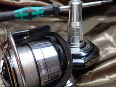 DAIWA - APPLE Daiwa DShock Combo Spinning Reel (2 Piece), 7' : Amazon.ca