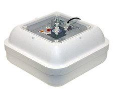 GQF 1583 Circulated Air Picture Window Hova-Bator Egg Hatching Incubator