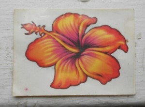 Rose of China Temporary Tattoo