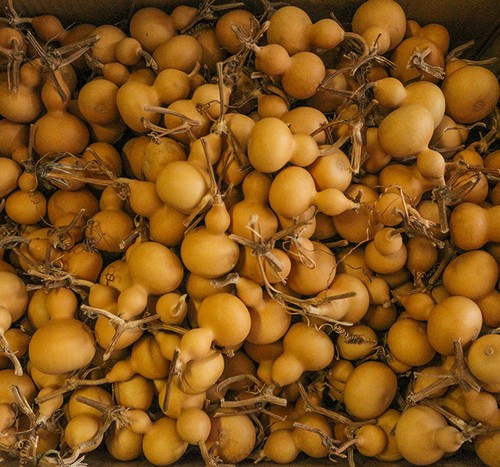5 sztuk Naturalna butelka Gourds Rękodzieło Suszone Oczyszczone Calabash Cucurbit Zrób to sam Wystrój domu - Zdjęcie 7 z 7