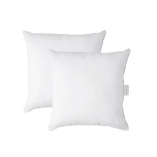 Throw Pillow Insert - Pack of 2 16x16 Pillow Inserts for Decorative Pillow Co...