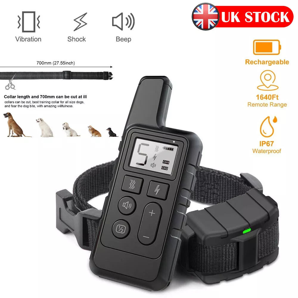 Best waterproof 2025 shock collar
