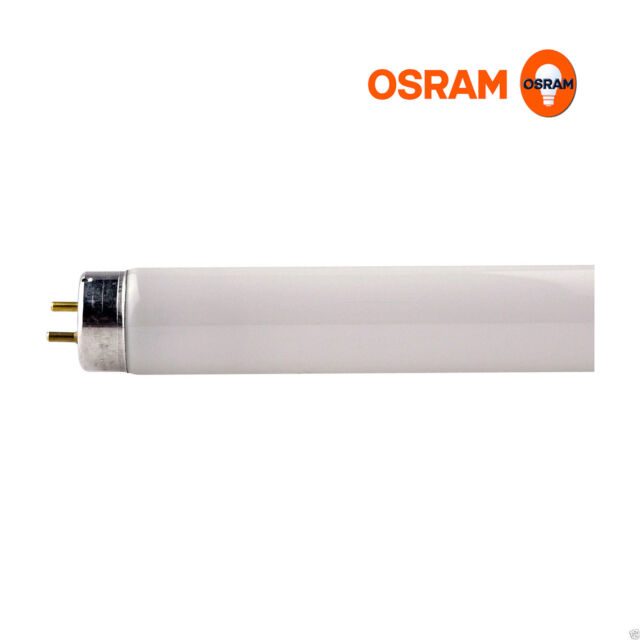 Osram 18w 2ft T8 Fluorescent Tube Ã¢?¬??Warm White / 830 (2-Pin, G13 Cap)