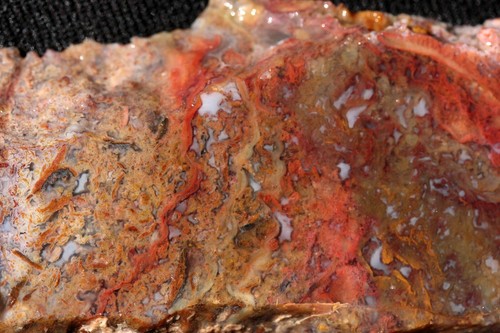 A277 ~ 1.7oz Losa Gruesa Multicolor Musgo Ágata ~ México - Imagen 3 de 8