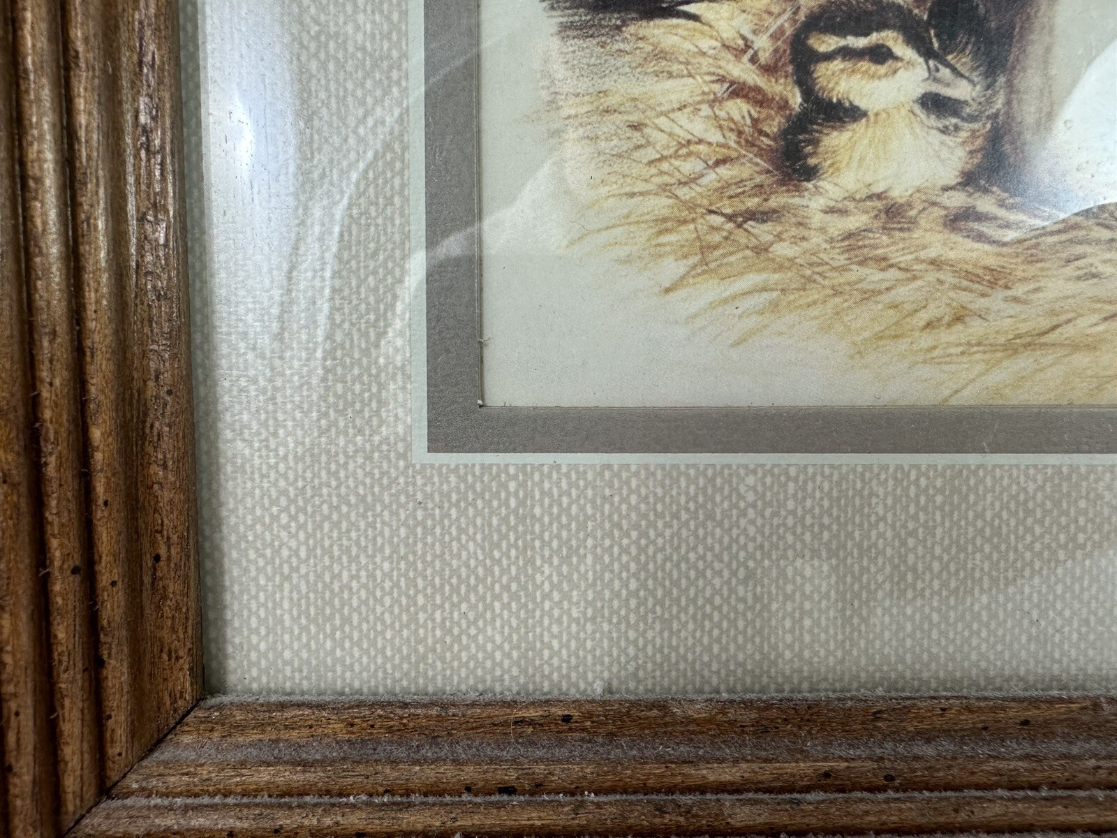 Picture 2 of 8