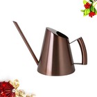  900ml Edelstahl-Gießkanne Long Mouth Watering Kettle Sukkulente Bewässerung